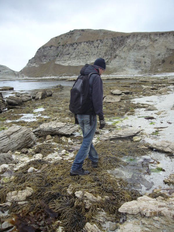 Travel - New Zealand - Kaikoura Again